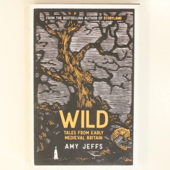 Wild: Tales from Early Medieval Britain from the Bestselling author of Storyland