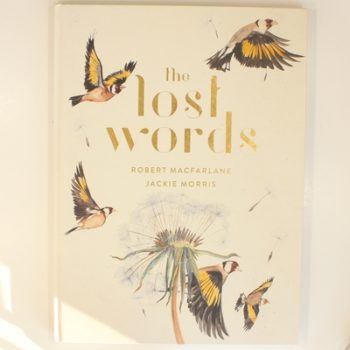 The Lost Words